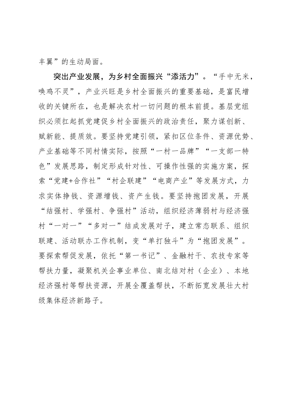 党委书记言论：筑牢乡村全面振兴“战斗堡垒”_第3页