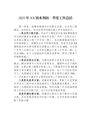 2025年XX镇水利站一季度工作总结