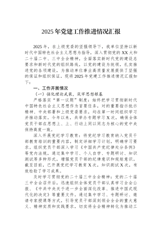 2025年党建工作推进情况汇报