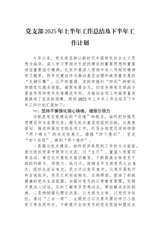 党支部2025年上半年工作总结及下半年工作计划