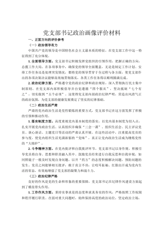 党支部书记政治画像评价材料