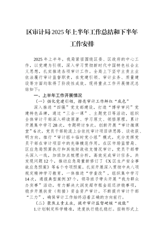 区审计局2025年上半年工作总结和下半年工作安排