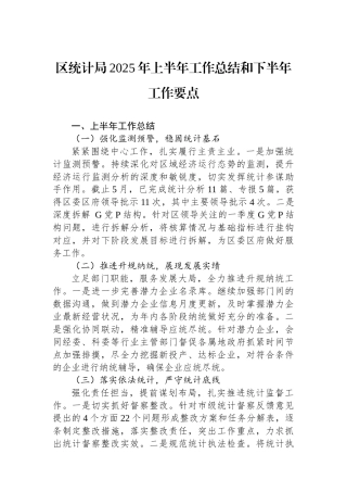 区统计局2025年上半年工作总结和下半年工作要点
