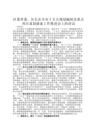 区委常委、区长在全市十五五规划编制及重点项目谋划储备工作推进会上的讲话