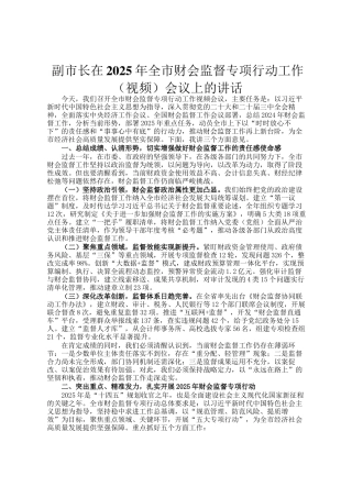 副市长在2025年全市财会监督专项行动工作（视频）会议上的讲话
