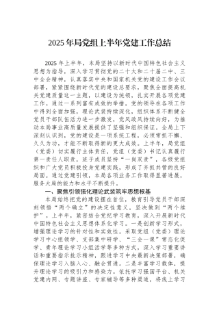 2025年局党组上半年党建工作总结