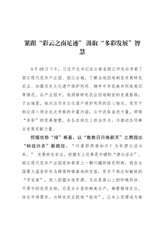 紧跟“彩云之南足迹” 汲取“多彩发展”智慧