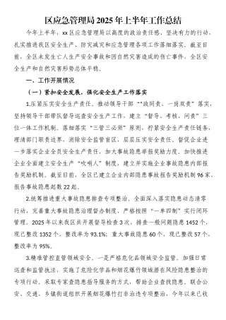 区应急管理局2025年上半年工作总结