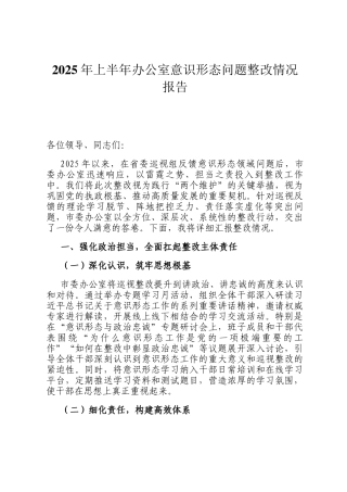 2025年上半年办公室意识形态问题整改情况报告