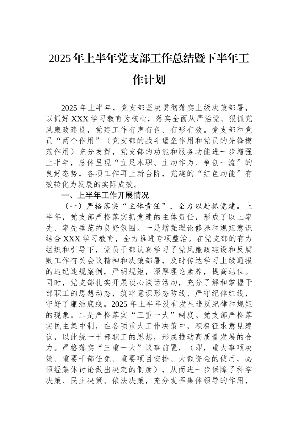 2025年上半年党支部工作总结暨下半年工作计划_第1页