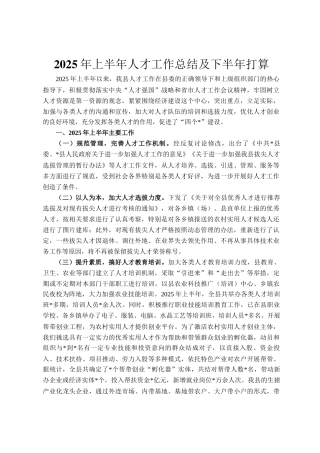2025年上半年人才工作总结及下半年打算