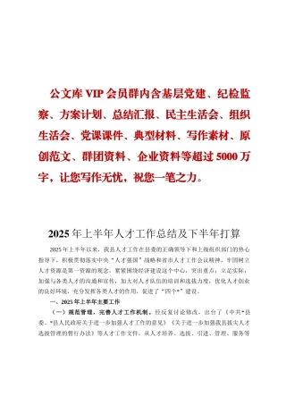 2025年上半年人才工作总结及下半年打算ding