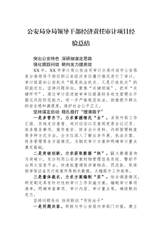 公安局分局领导干部经济责任审计项目经验总结