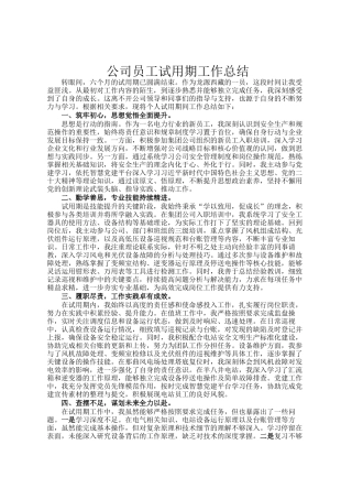公司员工试用期工作总结
