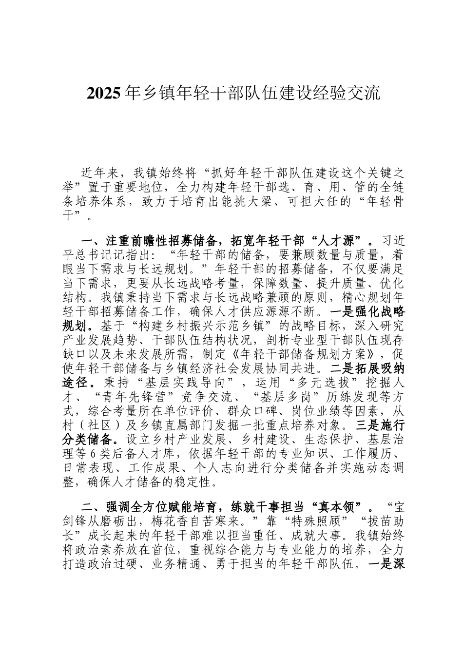 2025年乡镇年轻干部队伍建设经验交流_第1页