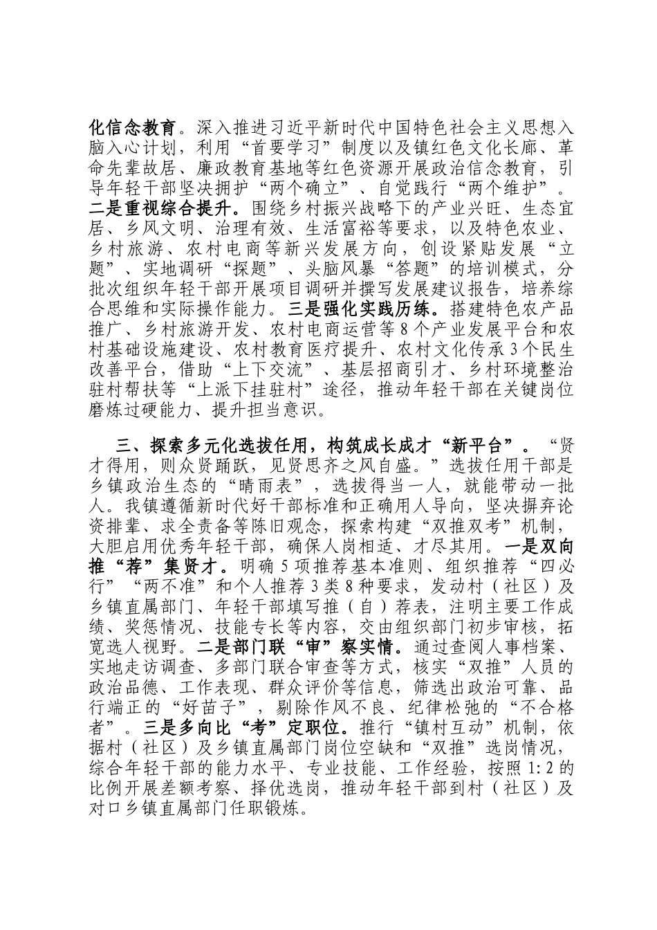 2025年乡镇年轻干部队伍建设经验交流_第2页