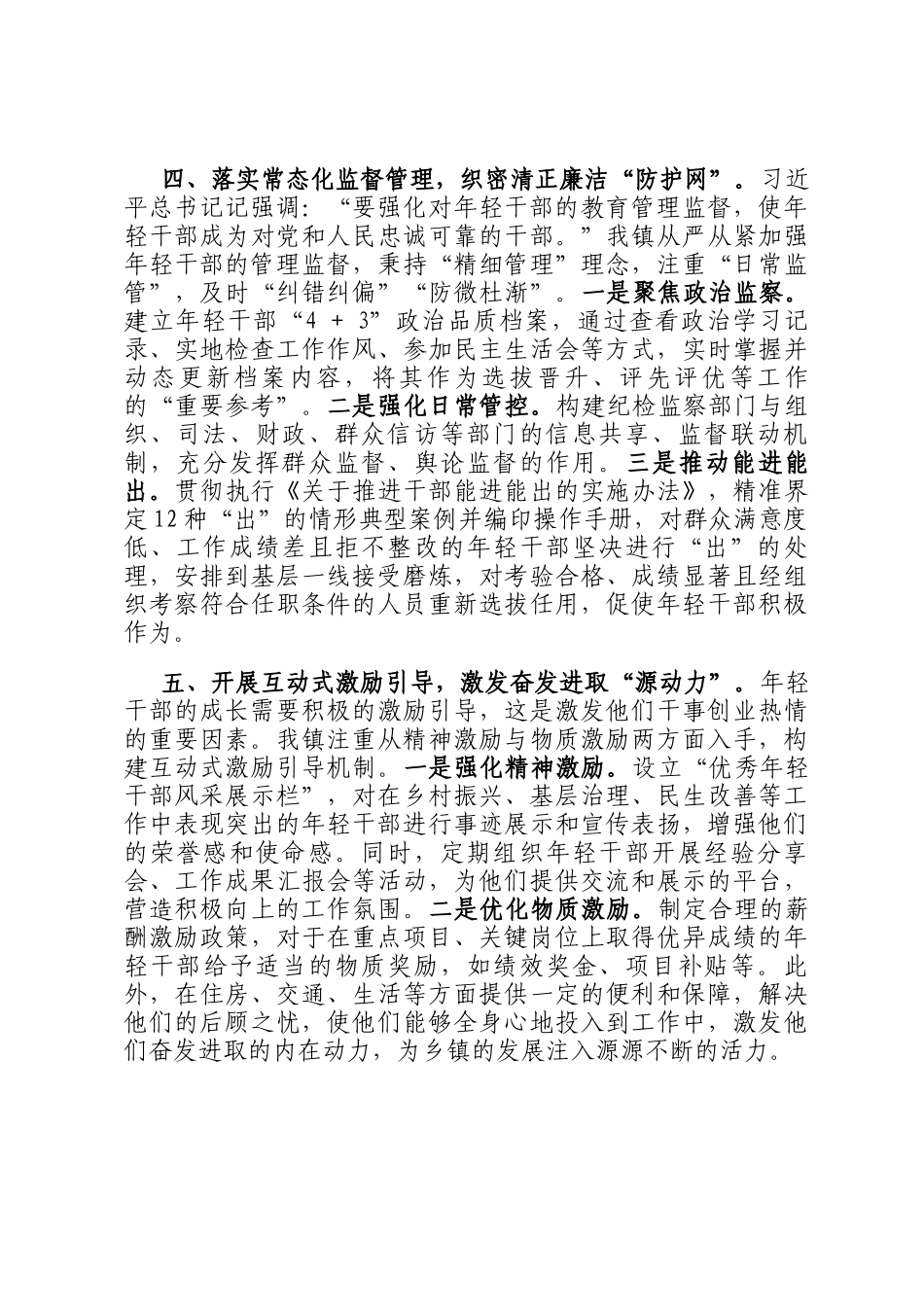 2025年乡镇年轻干部队伍建设经验交流_第3页