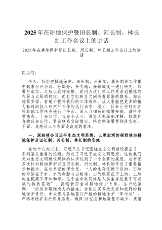 2025年在耕地保护暨田长制、河长制、林长制工作会议上的讲话