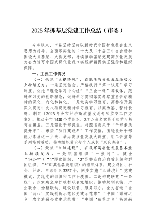 2025年抓基层党建工作总结（市委）