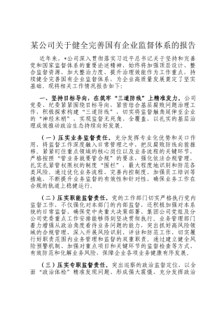 某公司关于健全完善国有企业监督体系的报告