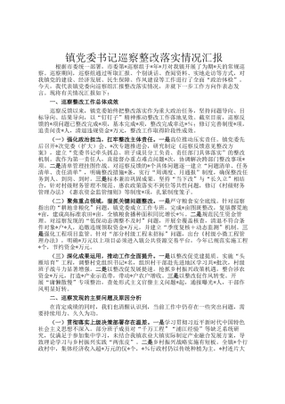镇党委书记巡察整改落实情况汇报