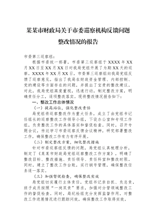 某某市财政局关于市委巡察机构反馈问题整改情况的报告