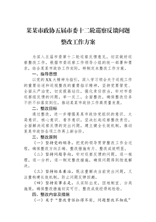 某某市政协五届市委十二轮巡察反馈问题整改工作方案