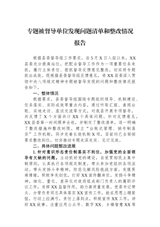 专题被督导单位发现问题清单和整改情况报告