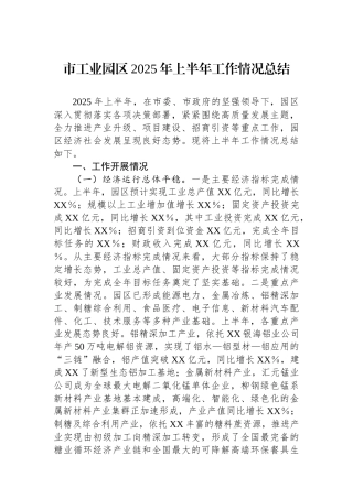 市工业园区2025年上半年工作情况总结