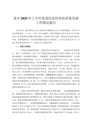 某市2025年上半年促进民营经济高质量发展工作情况报告