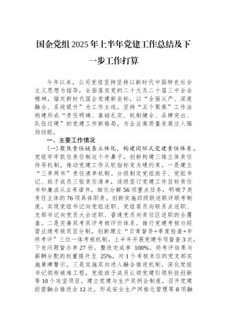 国企党组2025年上半年党建工作总结及下一步工作打算