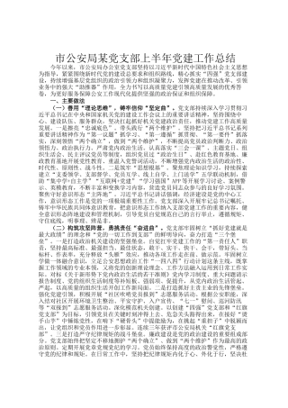 市公安局某党支部上半年党建工作总结