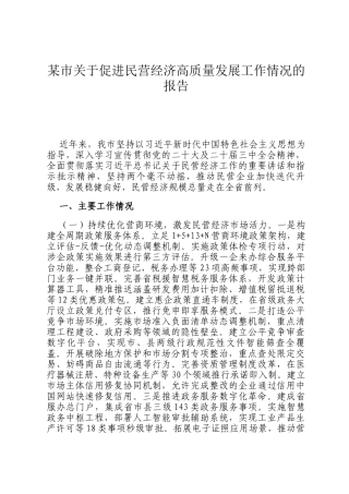 某市关于促进民营经济高质量发展工作情况的报告