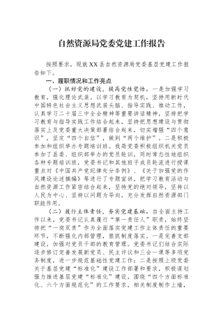 自然资源局党委党建工作报告