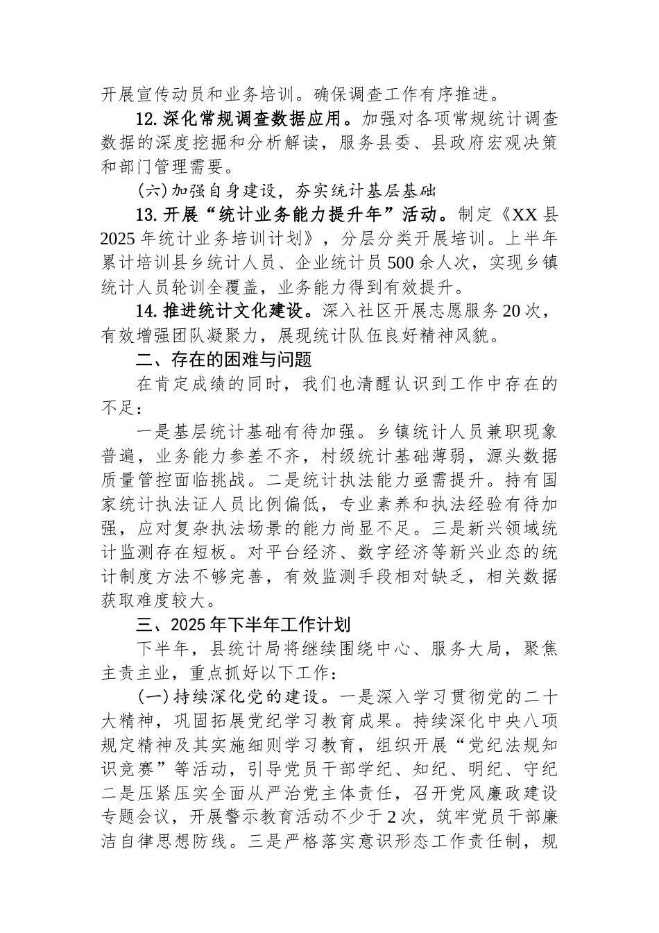 XX县统计局2025年上半年工作总结暨下半年工作计划_第3页