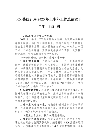 XX县统计局2025年上半年工作总结暨下半年工作计划