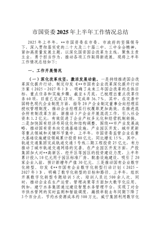 市国资委2025年上半年工作情况总结