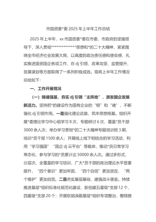 市国资委2025年上半年工作总结