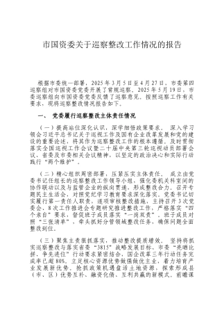 ‌市国资委关于巡察整改工作情况的报告