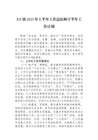 XX镇2025年上半年工作总结和下半年工作计划