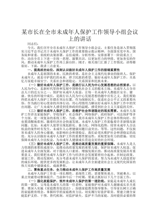 某市长在全市未成年人保护工作领导小组会议上的讲话