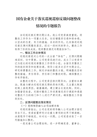 国有企业关于落实巡视巡察反馈问题整改情况的专题报告