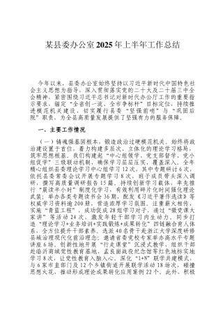 某县委办公室2025年上半年工作总结