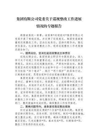 集团有限公司党委关于巡视整改工作进展情况的专题报告