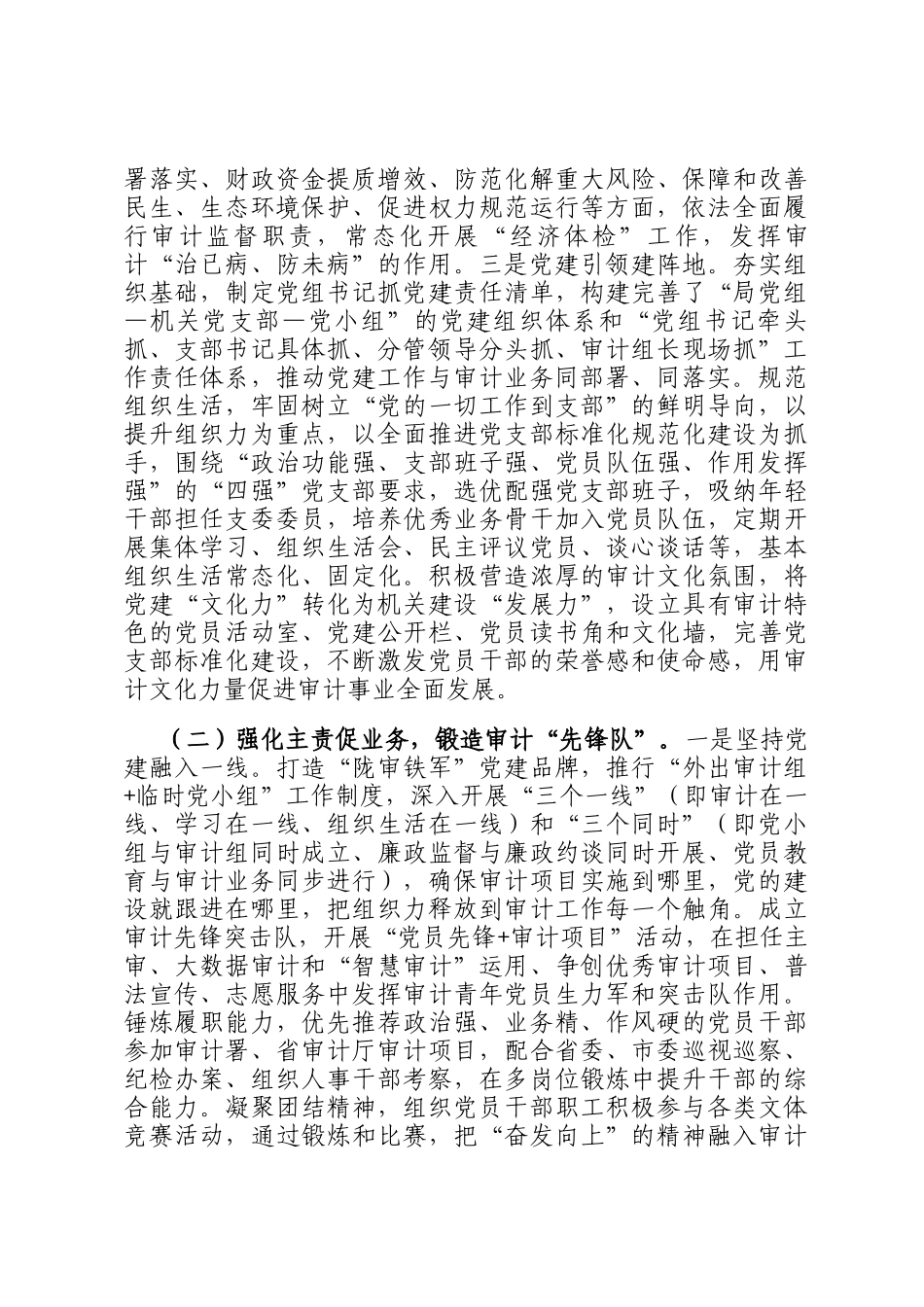 市审计局党组上半年落实全面从严治党主体责任工作情况报告_第2页