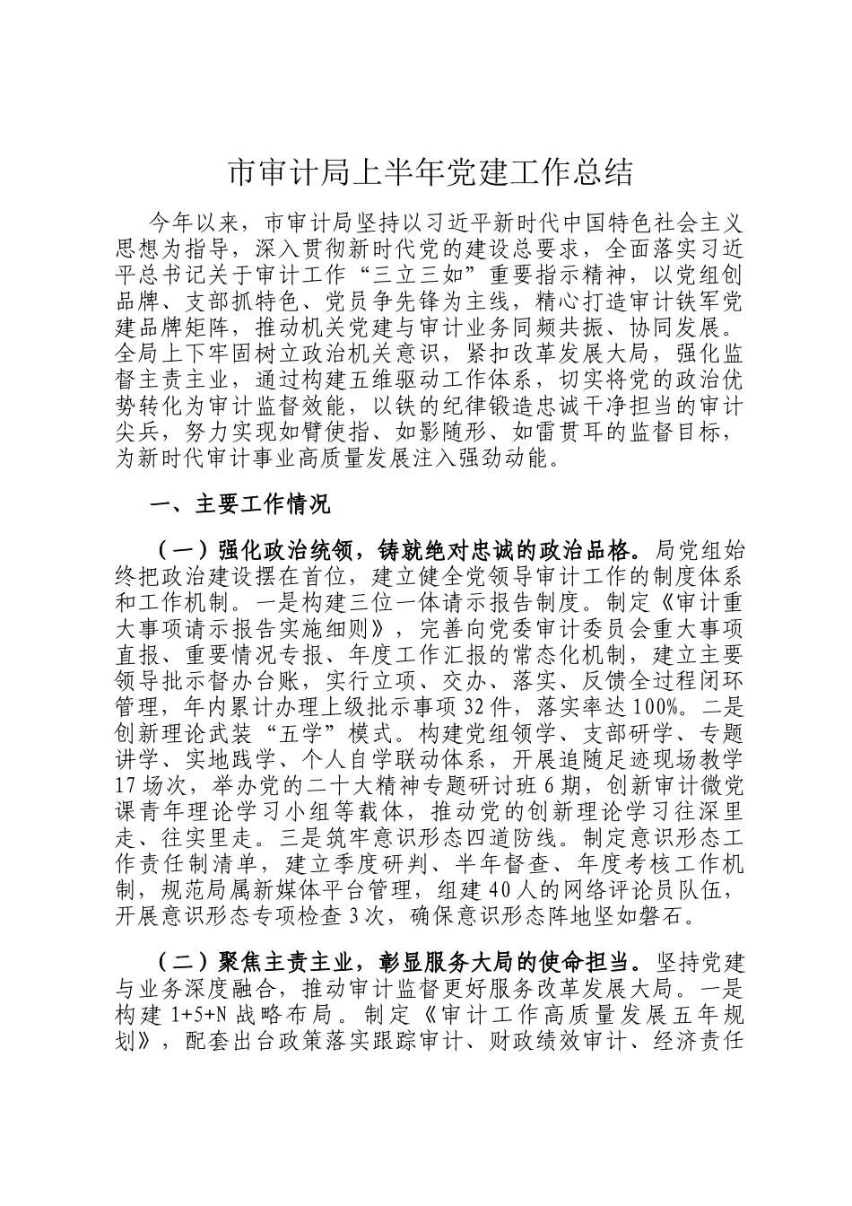 市审计局上半年党建工作总结_第1页