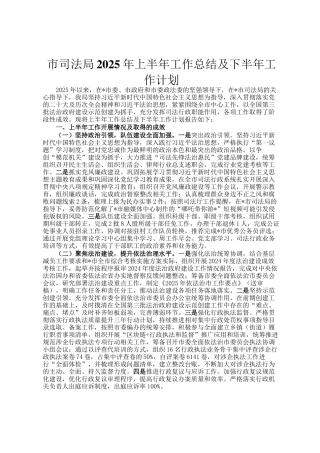 市司法局2025年上半年工作总结及下半年工作计划