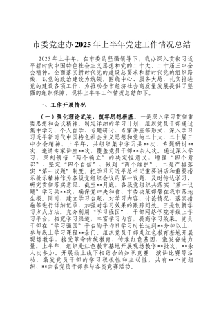 市委党建办2025年上半年党建工作情况总结