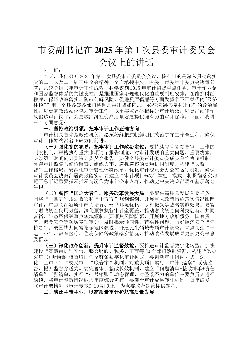市委副书记在2025年第1次县委审计委员会会议上的讲话_第1页