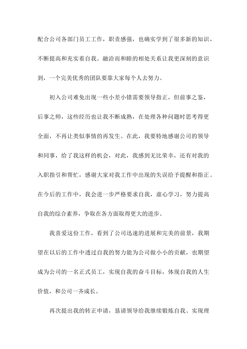 it新员工转正申请书_第3页